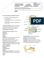 Guia Grado 7° Huesos de La Cabeza y Tronco