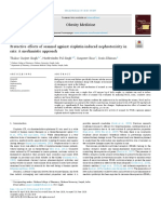 Sesamol Against Cisplatin-Induced Nephrotoxicity