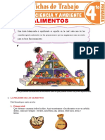 La Pirámide de Los Alimentos para Cuarto Grado de Primaria