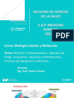 SEMANA 9 - Retículo Endoplasmatico. Aparato de Golgi. Lisosomas, Vacuolas y Peroxisomas. Proceso de Apoptosis y Necrosis