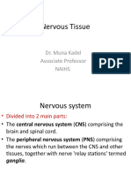 Nervous System NAIHS