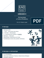 Slides de Aula - Unidade II