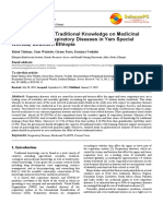 Documentation of Traditional Knowledge On Medicinal Plants To Treat Respiratory Diseases in Yem Special Woreda, Southern Ethiopia