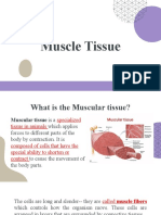 Muscle Tissues