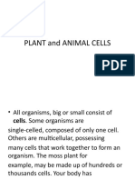 PLANT and ANIMAL CELLS