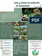 Boletín Informativo Climas, Flora y Fauna en Peligro de Extinción