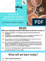 Lecture 5 Signal Transduction and Cellular Response