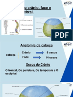 Cranio, Face e Coluna Vertebral