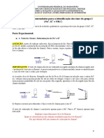 Lab 1 e 2. Identificação Dos Íons Do Grupo I