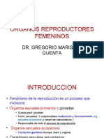 02 Organos Reproductores Femeninos