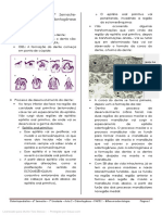 Odontopediatria 1 - 6º Semestre - 1 Unidade - Aula 2 - Odontogênese (PARTE 1)