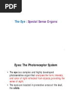 Histology of The Eye