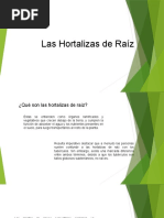 Hortalizas de Raiz