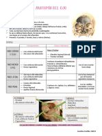 Anatomía Ojo y Vía Visual