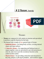 Chap 2 - Tissues