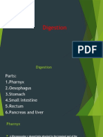 Digestion