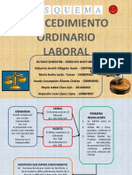 Esquema Proceso Ordinario de Trabajo Alex Lop