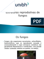 2 - Estruturas Reprodutivas