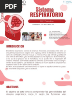 Sistema Respiratorio Fisio