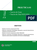 Practica 3 Tinción de Gram y Zhiel Neelsen