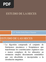 Estudiodelas Heces