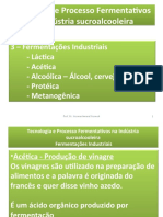 05aula 02 Fermentações Industriais Acética