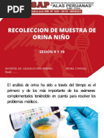 Sesion 9 y 10 Recoleccion de Muestra de Orina en Nio