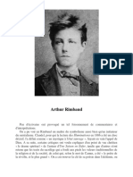 Investigation Sur Rimbaud