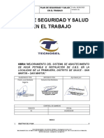 Plan de Seguridad y Salud en El Trabajo - Primavera