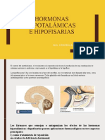 Hormonas Hipotalámicas y Tiroideas