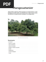 Mangoustanier