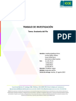 Trabajo de Investigacion de Anatomia Del Pie