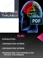 THALAMUS