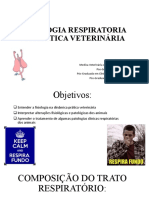 Fisiologia Respiratoria Na Prática Veterinária