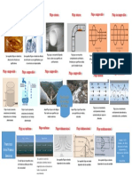 Supernota - Clasificación de Los Flujos de Fluidos