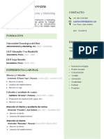 Curriculum Vitae Juan Mundini