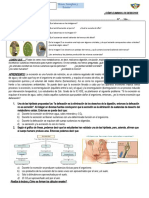 Jec Cómo Eliminan Los Desechos Los Ser