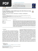 Grouper (Epinephelus Coioides) MyD88 Adaptor-Like (Mal) - Molecular Cloning, Expression, and Functionality