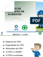 Treinamento CIPA Atualizado - Pps