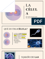 La Célula Exposición