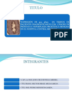 PDF Documento