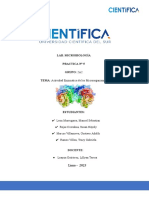 Informe 4 - Microbiologia