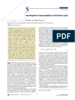 Curvature Softening and Negative Compressibility