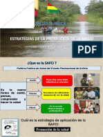 Estrategias Promocion de La Salud