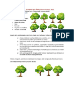 ARBOL Actividad