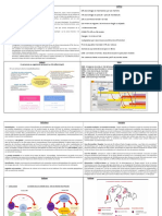 Fiche Révision Mondialisation