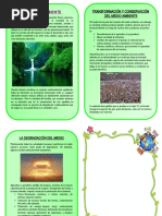 Diptico Del Medio Ambiente 3