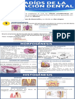 Formación Dental