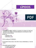 Lipidos