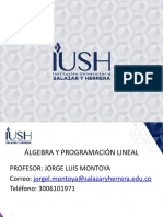 Álgebra y Programación Lineal1